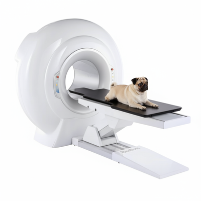 5G XL | Unidad Cone Beam